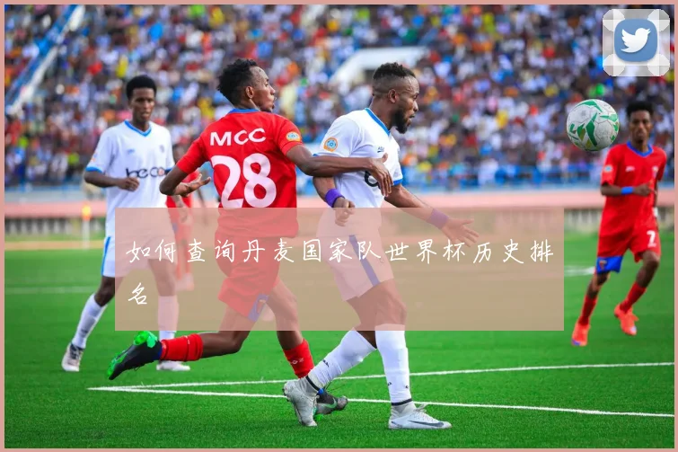 如何查询丹麦国家队世界杯历史排名