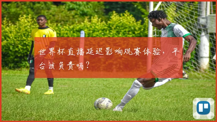 世界杯直播延迟影响观赛体验，平台该负责吗？