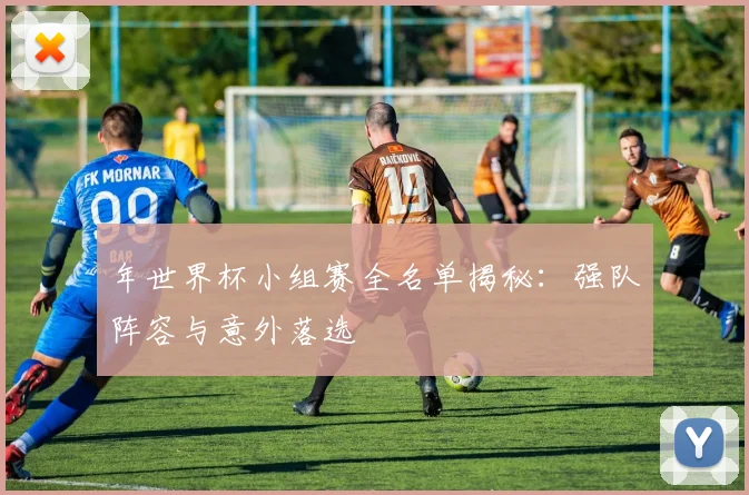 年世界杯小组赛全名单揭秘：强队阵容与意外落选